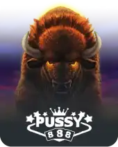 md88-pussy888